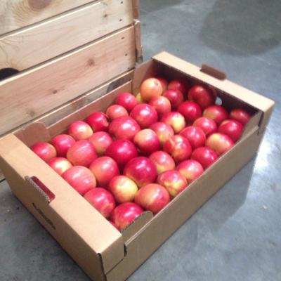 Яблоки сезонные красные ( ящик 13кг )