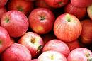 Яблоки Новый урожай Галла Реаль