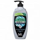 Гель для душа PALMOLIVE MEN арктический ветер 750 мл