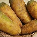 Морковь желтая