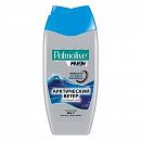 Гель для душа PALMOLIVE MEN арктический ветер 250 мл